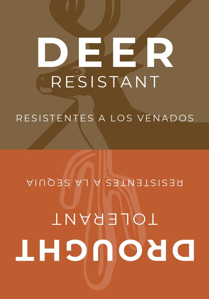 Sign Topper: Deer Resistant / Drought Tolerant