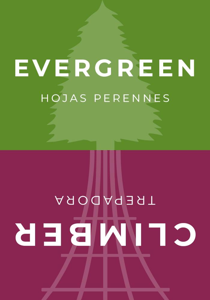 Sign Topper: Evergreen / Climbers
