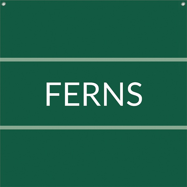 Ferns 12x12 - Fairview