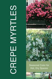 Crape Myrtles 24x36 - Fairview