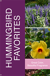 Hummingbird Favorites 24x36 - Fairview
