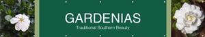 Gardenias 11' X 2' - Fairview