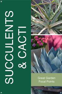 Succulents & Cacti 24x36 - Fairview