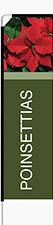 Poinsettias Feather Flag - Rectangle
