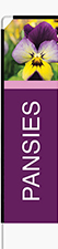 Pansies Feather Flag - Rectangle