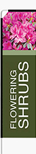 Flowering Shrubs Feather Flag - Rectangle