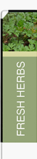 Fresh Herbs Feather Flag - Rectangle