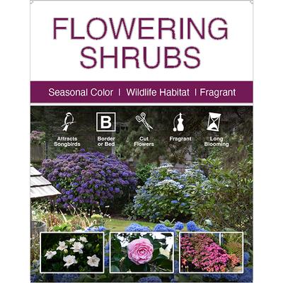 Flowering Shrubs 22x28