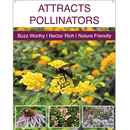 Attracts Pollinators 22x28