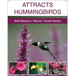 Attracts Hummingbirds 22x28