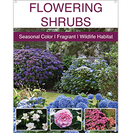 Flowering Shrubs 22x28
