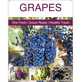 Grapes 22x28