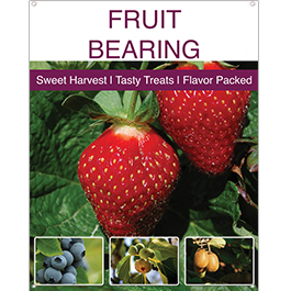 Fruit Bearing 22x28