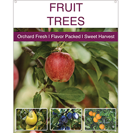 Fruit Trees 22x28