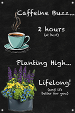 Caffeine Buzz vs. Plant High 24