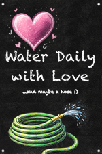 Water Daily with Love 24