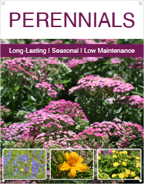 Perennials 22x28