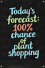 Todays Forecast... 24x36 - Chalkboard