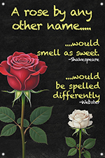 Rose by any Other Name... 24x36 - Chalkboard