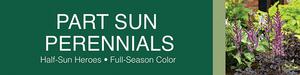 Part-Sun Perennials 48x12 - Fairview