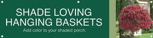 Hanging Baskets - ShadeLoving 47x12