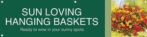 Hanging Baskets - SunLoving 47x12