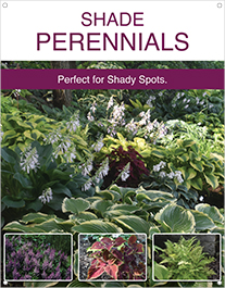 Shade Perennials 22x28