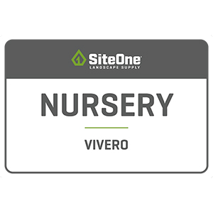 36in X 24in SiteOne 'Nursery' Sign