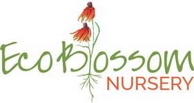 Eco Blossom Custom Bench Cards
