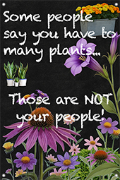 Not Your People 24x36 - Chalkboard