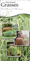 Ornamental Grasses 18x36 - Traditional