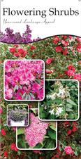 Flowering Shrubs 18