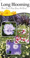Long Blooming 18