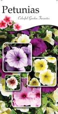 Petunias 18