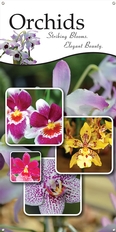 Orchids 18
