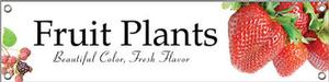 Fruit Plants 48