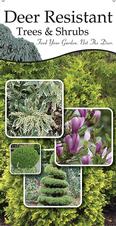 Deer Resistant Trees & Shrubs 18