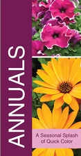 Annuals 18x36 - Bold