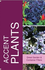 Accent Plants 24x36 - Bold