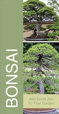 Bonsai 18