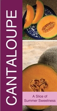 Cantaloupe 18x36 - Bold