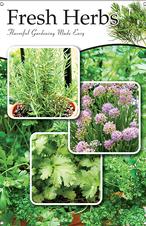 Fresh Herbs 24x36 - Traditional