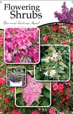 Flowering Shrubs 24