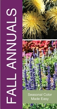 Fall Annuals 18x36 - Bold