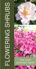 Flowering Shrubs 18x36 - Bold
