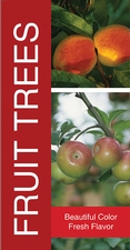 Fruit Trees 18