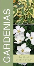 Gardenias 18