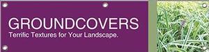 Groundcovers 47x12 - Bold
