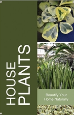 House Plants 24