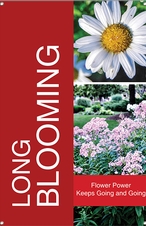 Long Blooming 24
